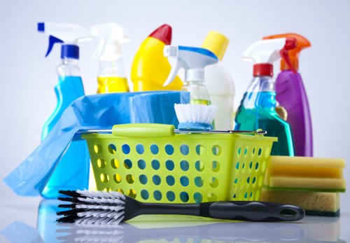 Professional pet stain odour removal in Kingston for carpet cleaning