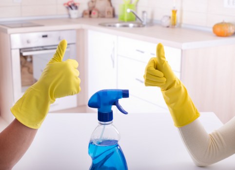Kingston Carpet Cleaners highlighting quality, care, and trusted service