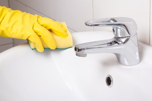 Dirty rug stains and deep cleaning needs in Kingston home