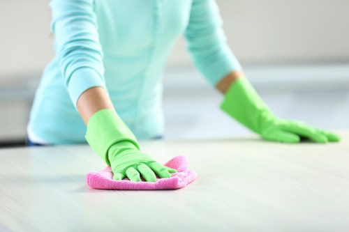 Removing pet stains and odours from upholstery in Kingston