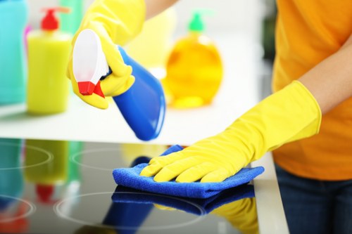 Common household stains needing treatment in Kingston