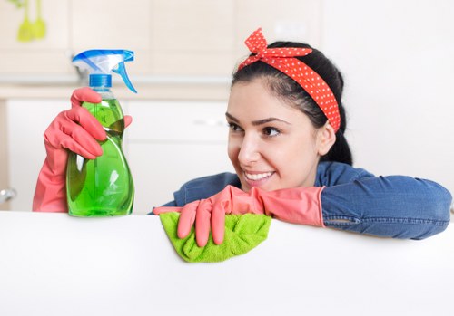 Deep cleaning pet urine stains and odours in a Kingston home