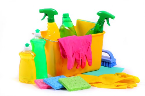 Kingston mattress cleaning service treating stains and odors